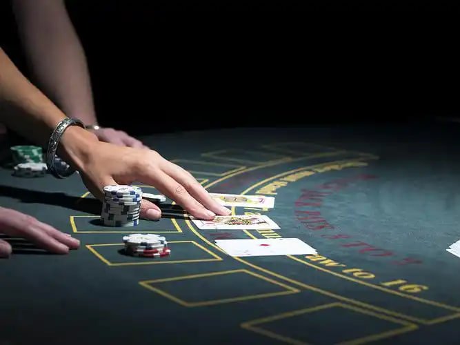 1500bond Sportsbook
